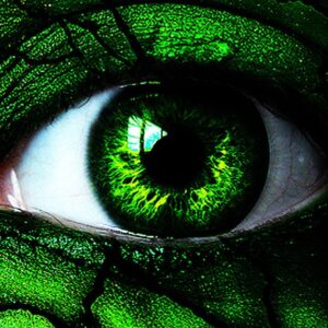Emotional Intelligence Test I feel envious and resentful.