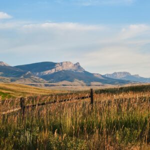 M Trivia Quiz Montana