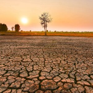 Desert Trivia Quiz Low annual precipitation