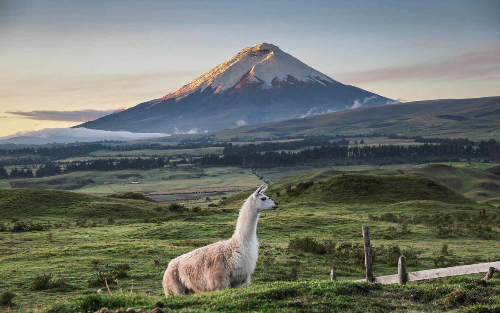 Ecuador