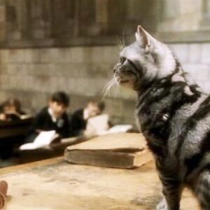 Harry Potter Wand Quiz Professor McGonagall