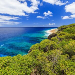 4-Letter Countries Quiz Niue