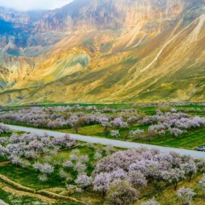 Happiness Trivia Questions And Answers Quiz Afghanistan