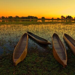22 Trivia Questions & Answers From Boogers To Black Forest Quiz Botswana