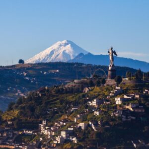 Rose Trivia Questions And Answers Quiz Ecuador