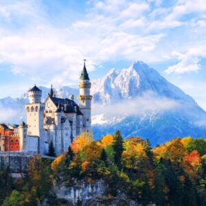 Fruitcake Trivia Quiz Germany