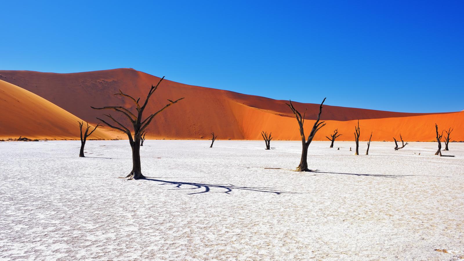 Winter Geography Quiz Deadvlei, Namib Desert, Namibia