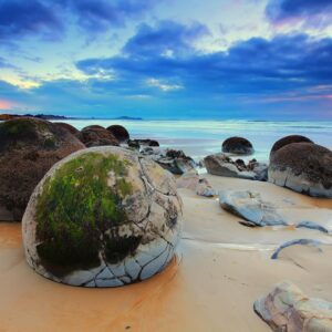 Rainbow Trivia Quiz New Zealand