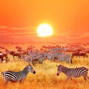 World Tourism Day Quiz Tanzania