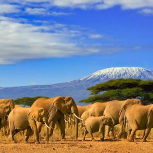 Islands A-Z Quiz Tanzania