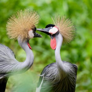 24 Quiz Questions & Answers From Oompa-Loompas To Waterfalls Uganda
