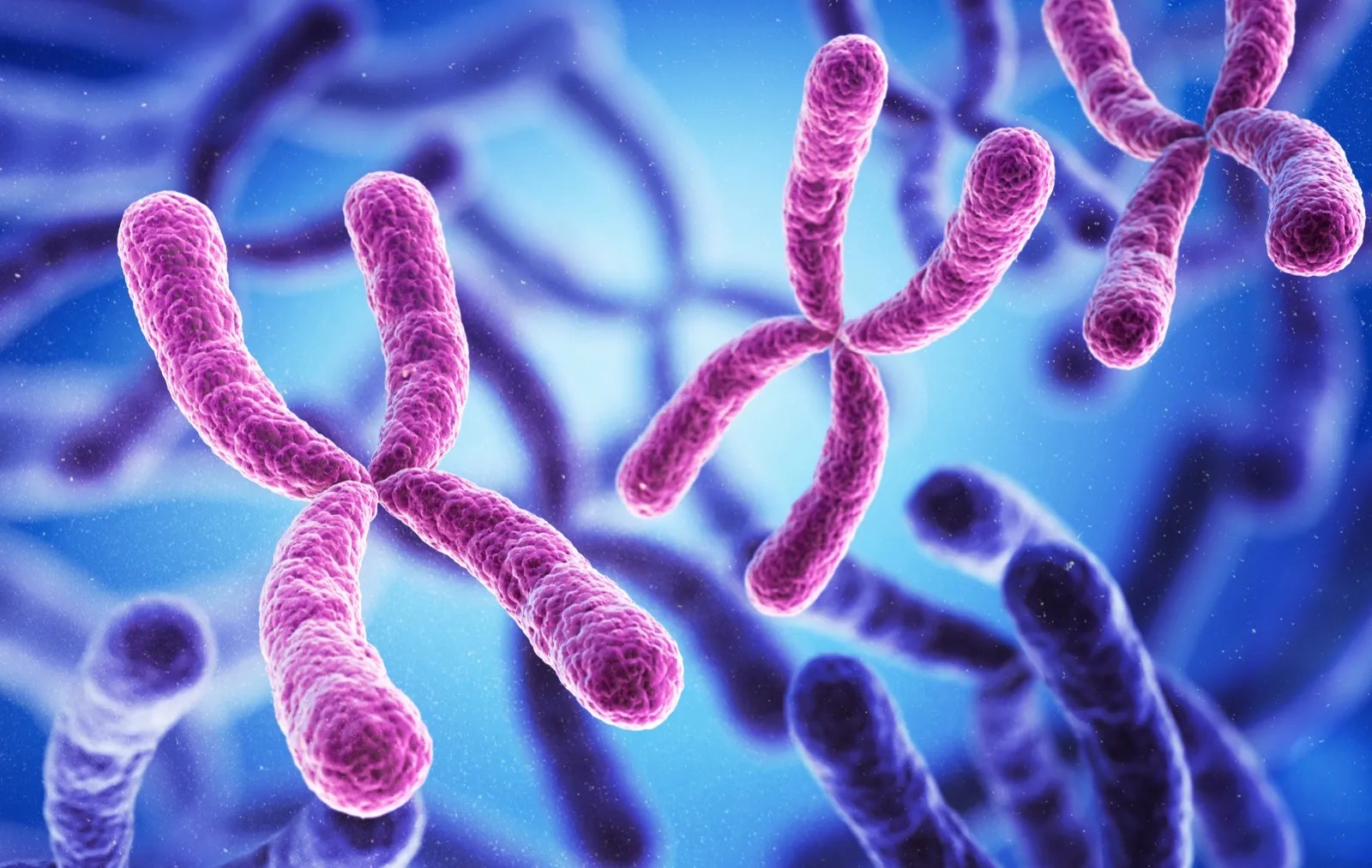 Scientific Numbers Quiz Chromosomes