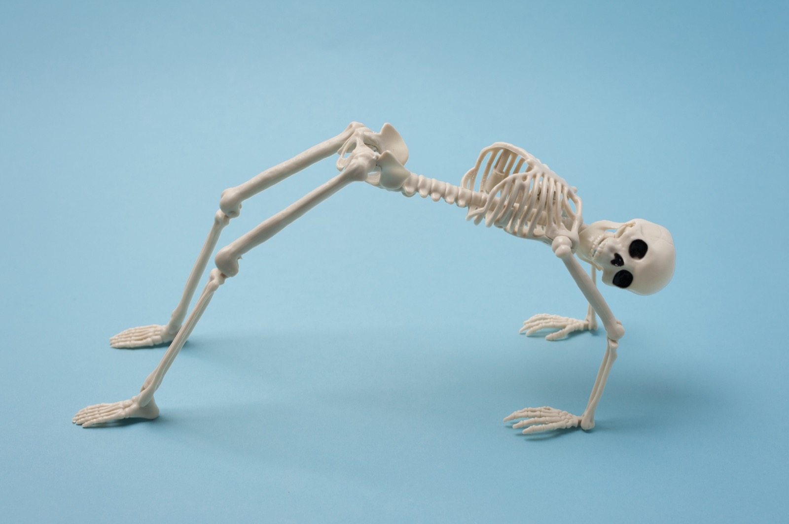 Scientific Numbers Quiz Skeleton