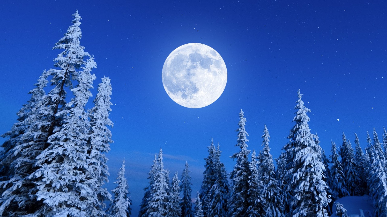 Chinese New Year Trivia Questions And Answers Full moon in winter