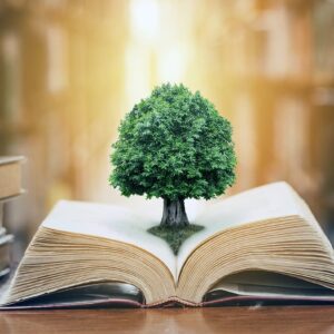 Female Archetype Quiz Knowledge and wisdom