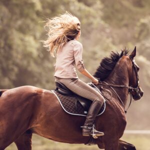 Cowboy, Fairy, Angel, Or Knight Quiz Horseback riding