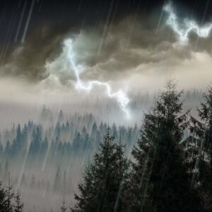 March Trivia Quiz Transition from stormy to mild weather