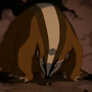 Avatar The Last Airbender Quiz Badgermole
