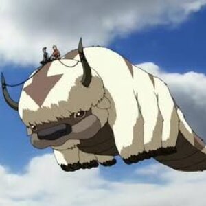 Avatar The Last Airbender Quiz Flying bison