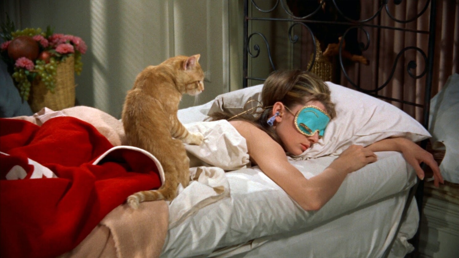 Can You Match Fictional 20 Cats to Their Movies? Quiz Breakfast at Tiffany's waking up