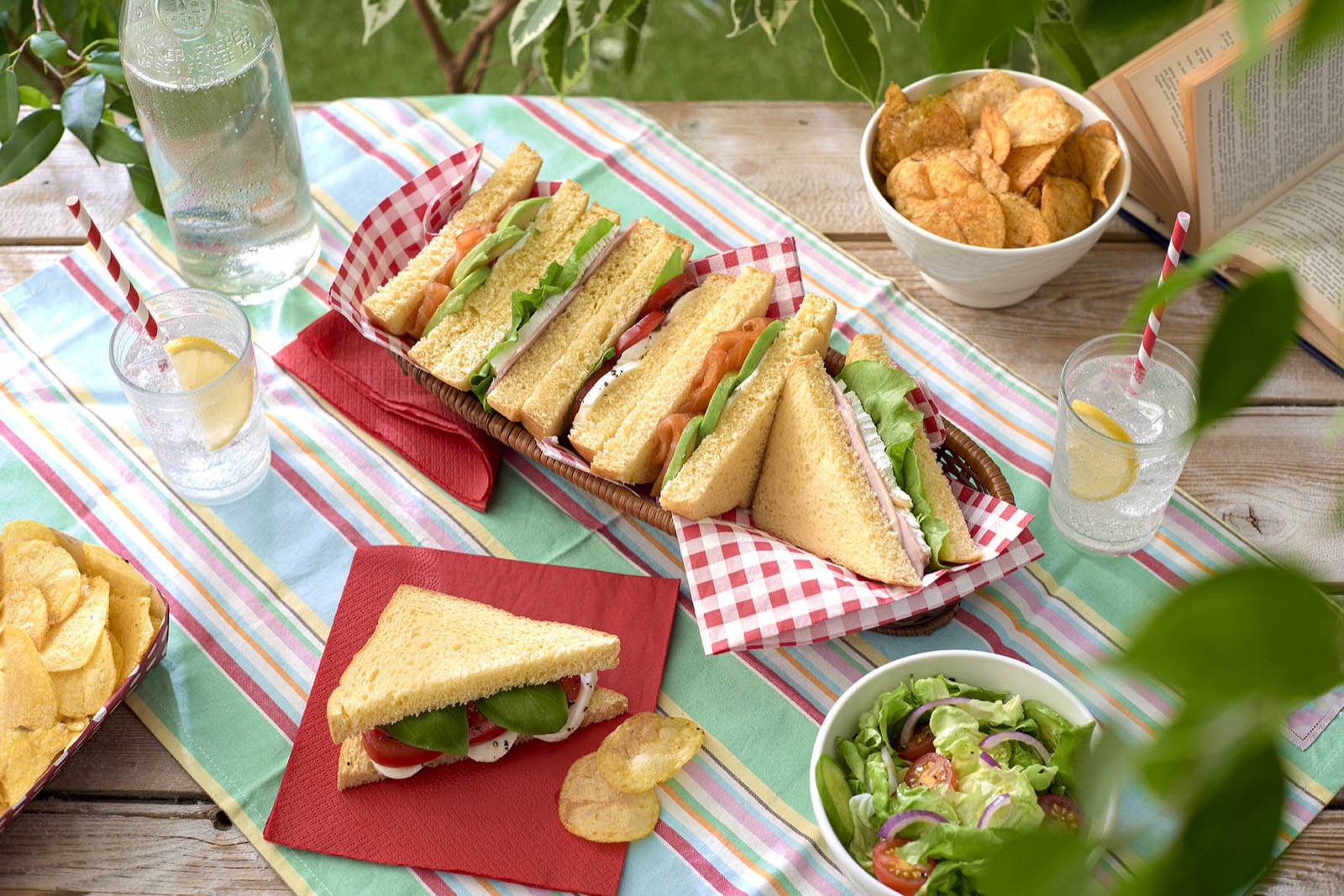 Picnic with sandwiches