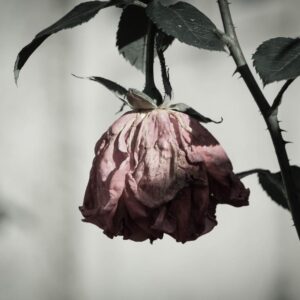 Emotional Intelligence Test I often dwell on negative thoughts without finding solutions.