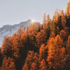 Cozy Fall Day Quiz 