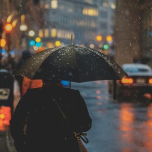 What Landscape Are You? Quiz Rainy and overcast