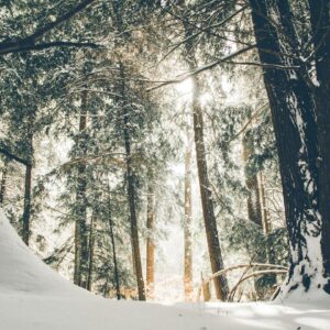 This Calming Quiz Will Tell You What You Need To Hear RN Winter