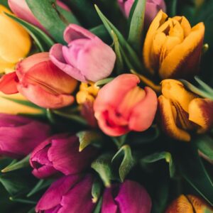 Four Seasons Trivia Quiz Spring