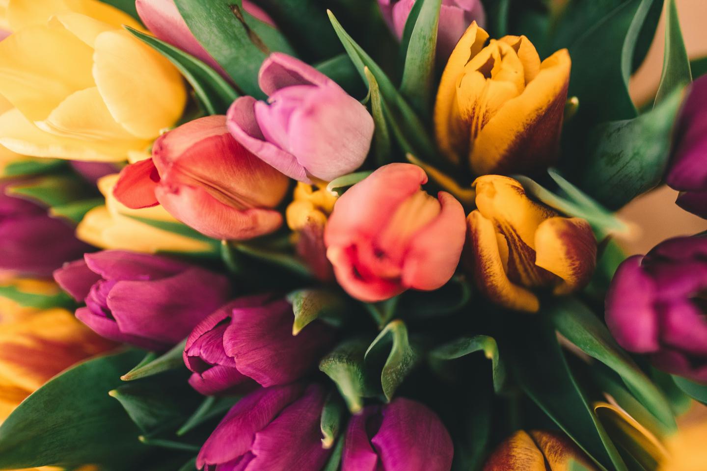 April Trivia Quiz Spring flowers