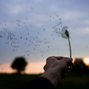What Landscape Are You? Quiz Cool and breezy