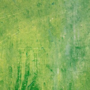 Missing Colors Place Quiz Green