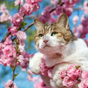 September Trivia Quiz Spring equinox