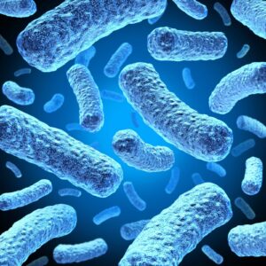 Earth Day Quiz Spread of infectious diseases