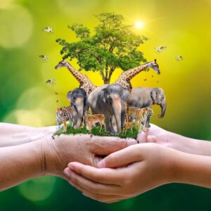 March Trivia Quiz World Wildlife Day