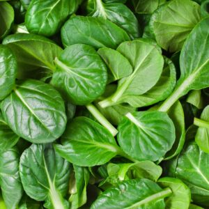 World Breakfast Trivia Quiz Spinach