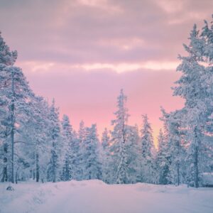 What Art Movement Are You? Quiz Frozen tundra