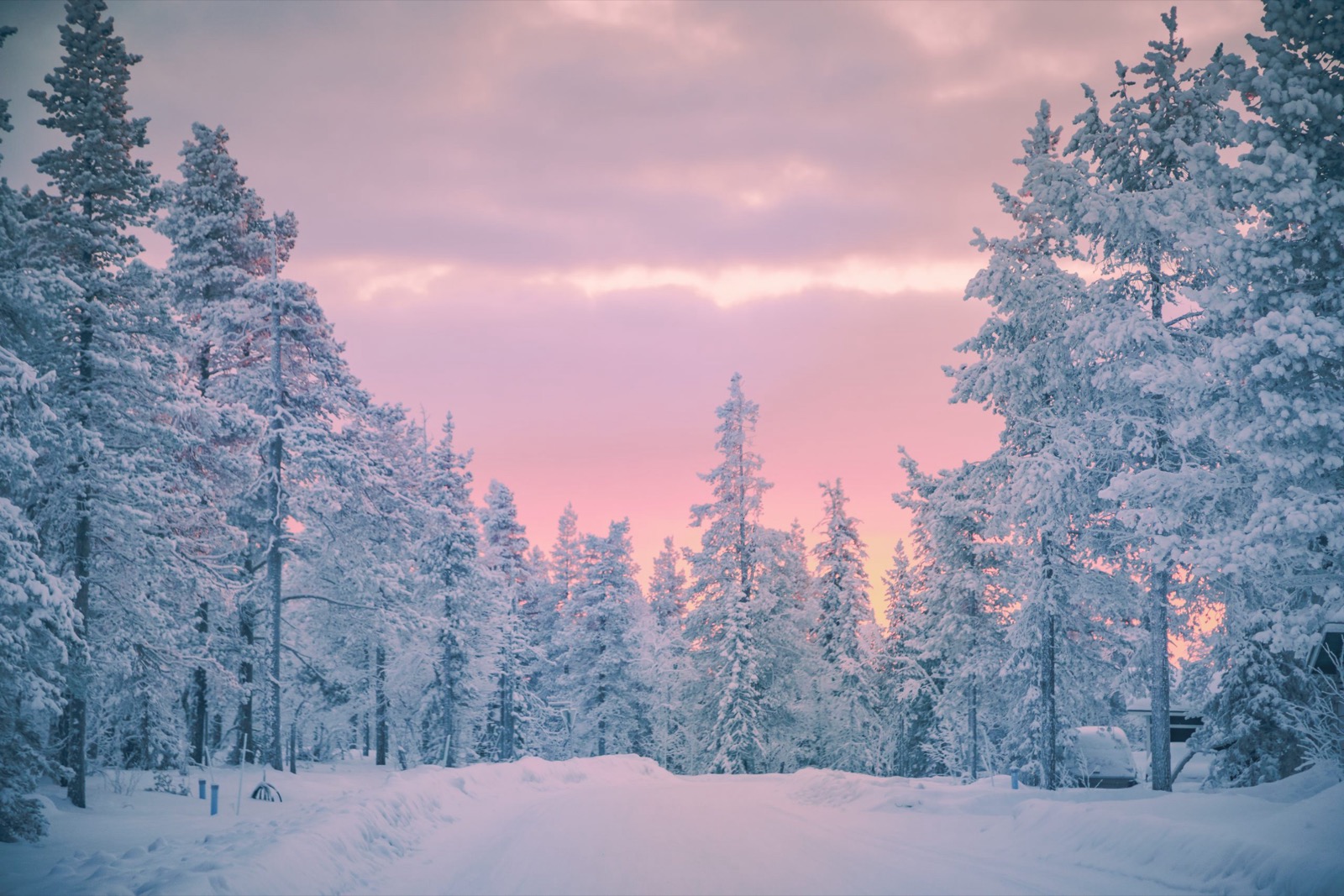 You got: Snowy Tundra! What Type of Landscape Represents Your Inner Self?