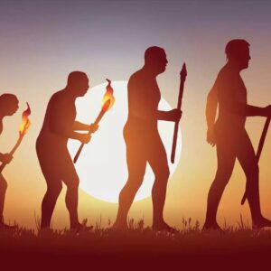 Chronological Timeline Quiz Charles Darwin\'s theory of evolution