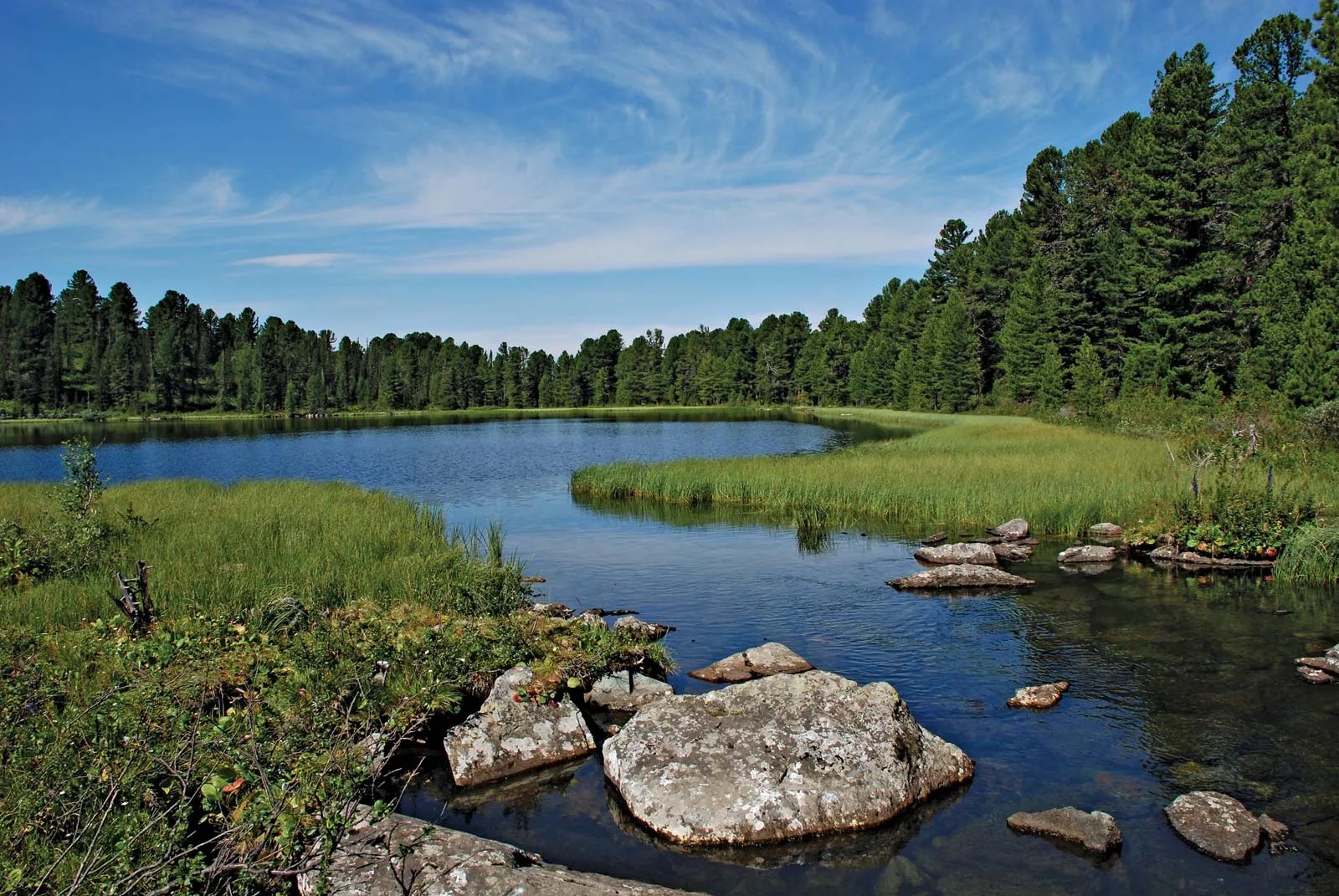 T Trivia Quiz Taiga, Siberia, Russia
