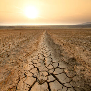 World Food Day Quiz Drought
