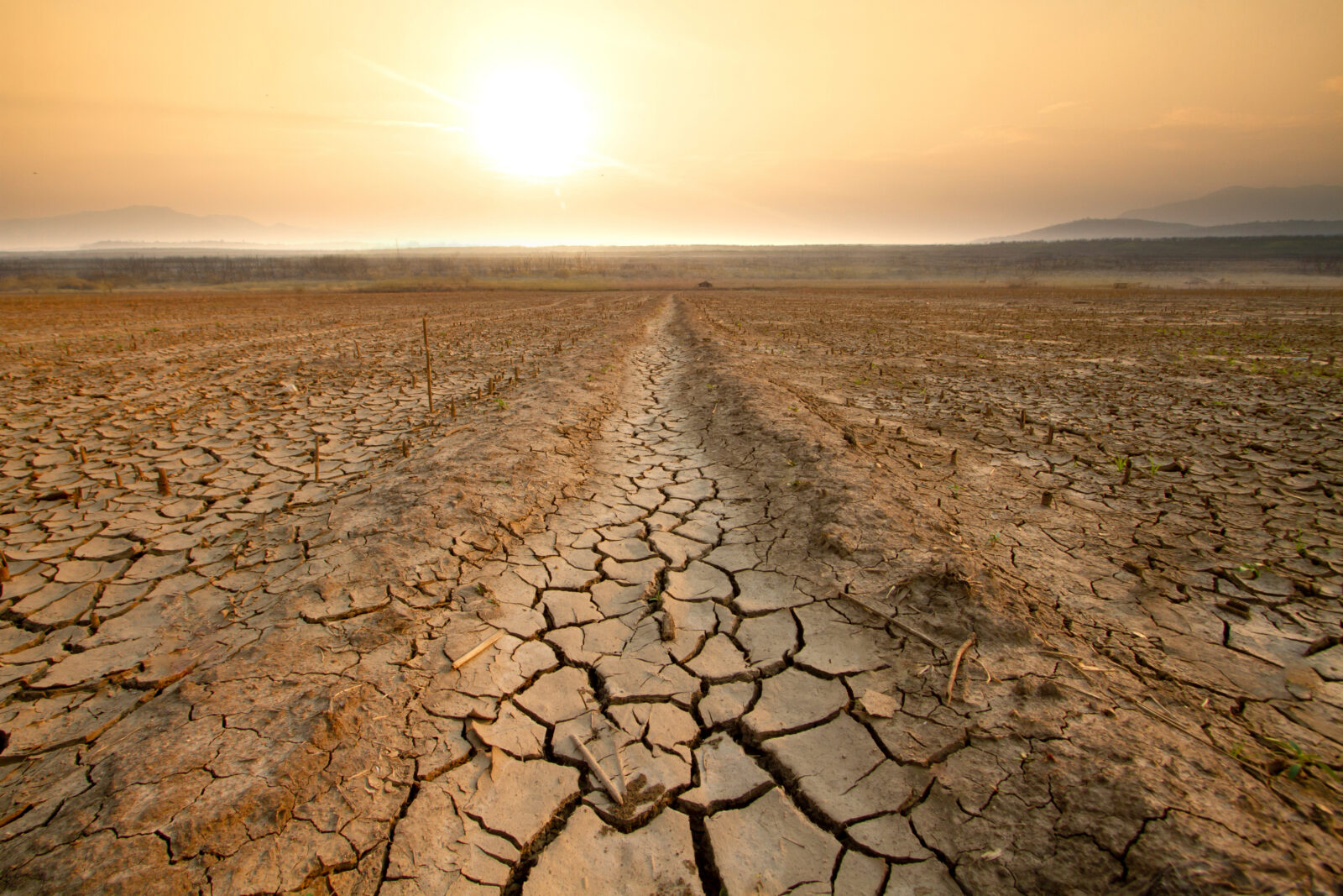 Drought and climate change