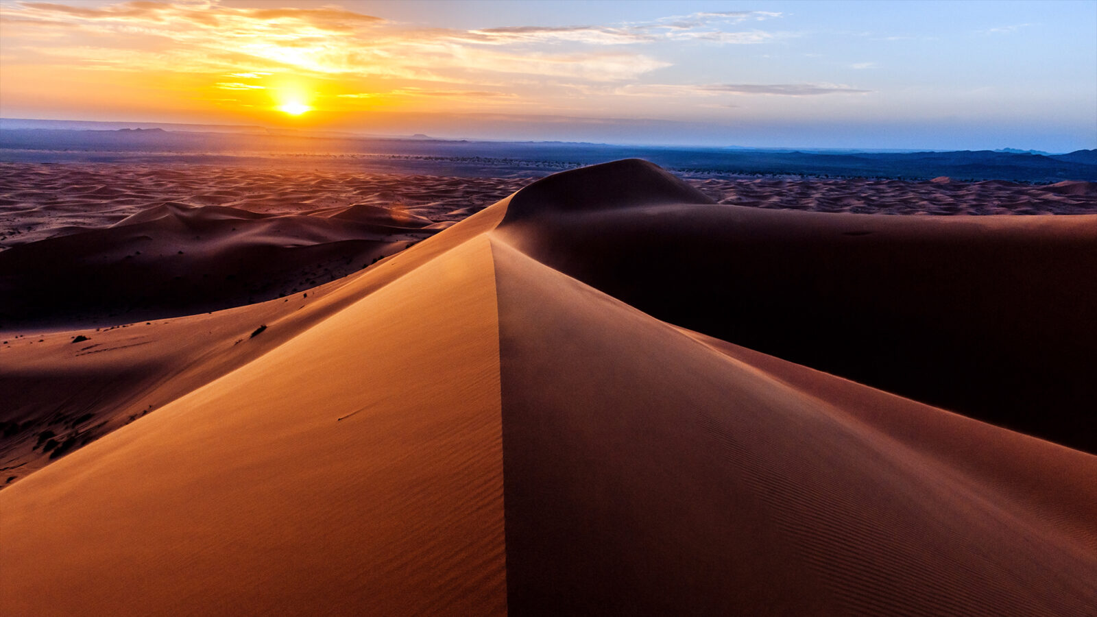 Sahara Desert star sand dune