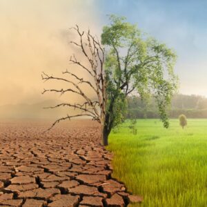 Water Trivia Quiz Climate change