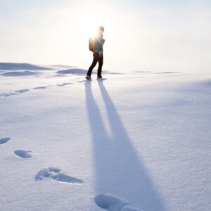Guess The Movie Titles Quiz Snow