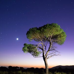 Are You A Desert, Forest, Mountain, Or Ocean? Quiz 