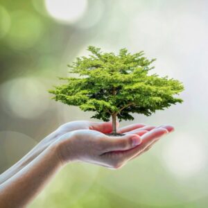 It Happened In April Quiz International Day of Forests