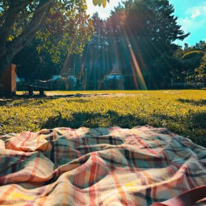 Are You A Cookie, A Brownie, A Macaron, Or A Cupcake? Quiz Picnic in the park