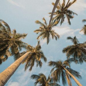 Autumn Idioms Quiz Hot summer days